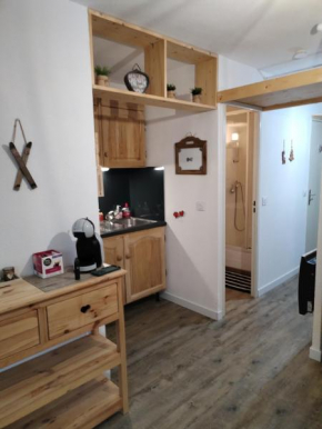 magnifique studio tout confort 24 m2 pied des pistes